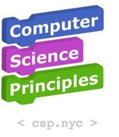 Picture of 2019 AP Computer Science Principles (Calhoun)