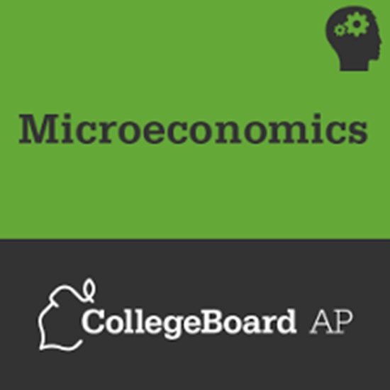 Picture of 2019 AP Microeconomics (Calhoun)